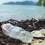 Apa Itu Bon Sampah (Junk Bond)?