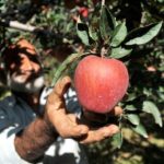 10 Hakikat Sebenar Bekerja Di Australia Orang Tak Tahu