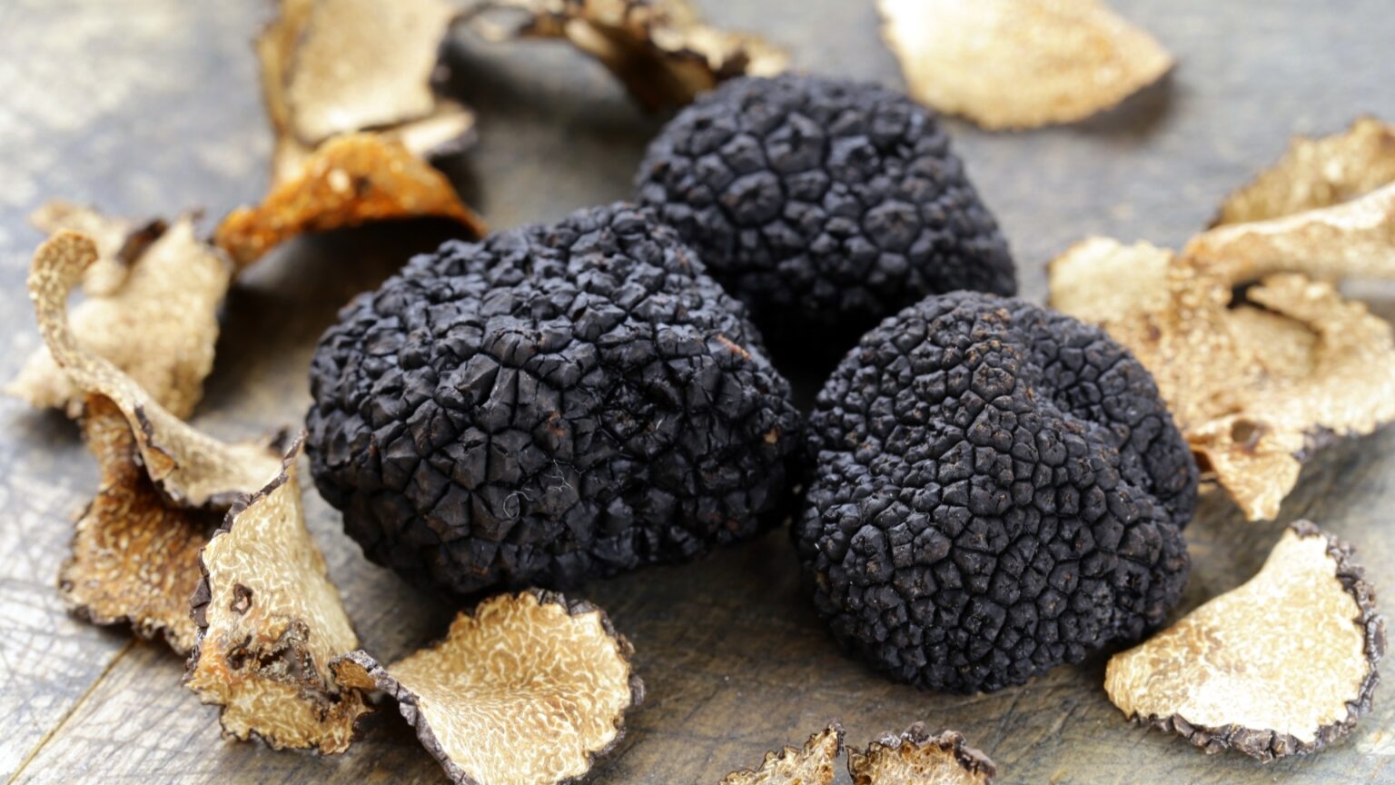 Truffle