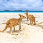 10 Perkara Perlu Tahu Sebelum Melancong Ke Australia.Jangan Tersilap