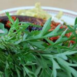 10 Khasiat Ulam Ulaman (Murah Dan Paling Penting Baik Untuk Kesihatan)